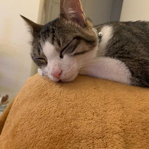 Meet your Posher, Brandon